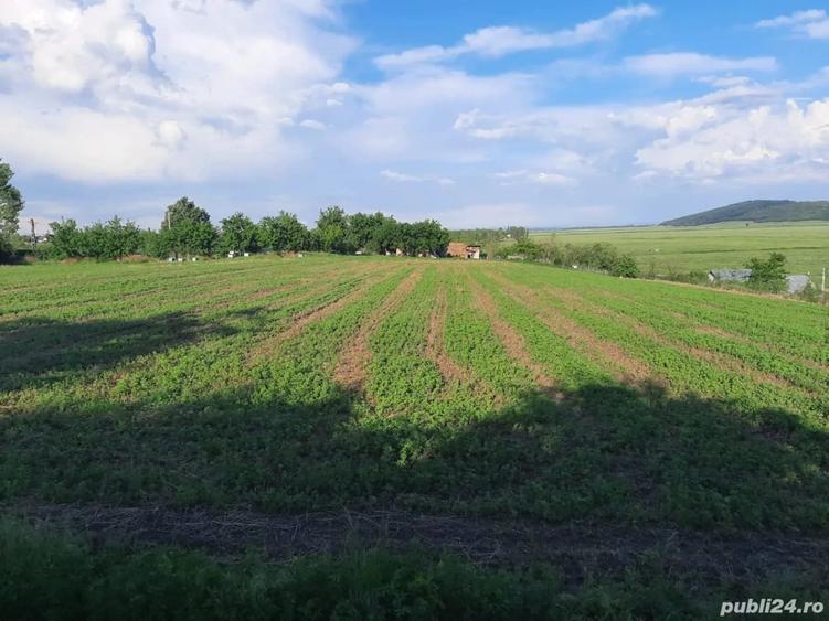Teren de 10000 mp, în Central