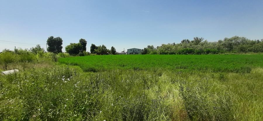 Proprietate specială, de 1,222 mp, în Dărăști-Ilfov