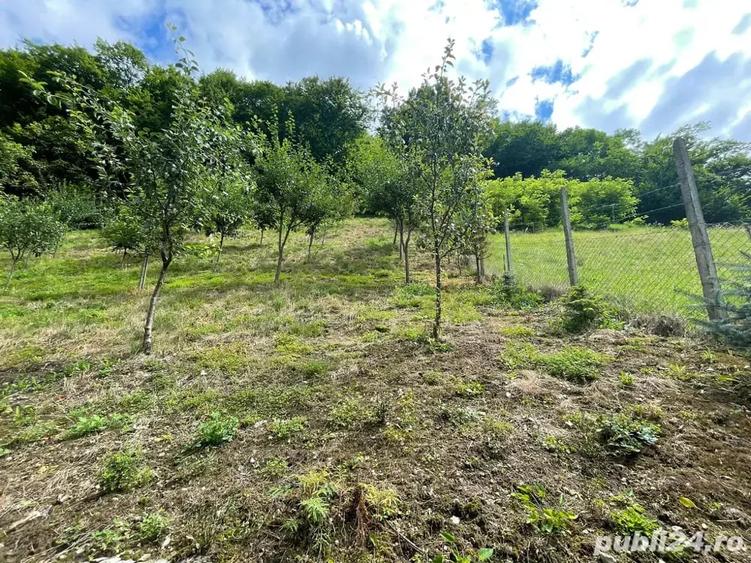 Casă cu 4 camere cu Teren 1500 Mp în Dobra