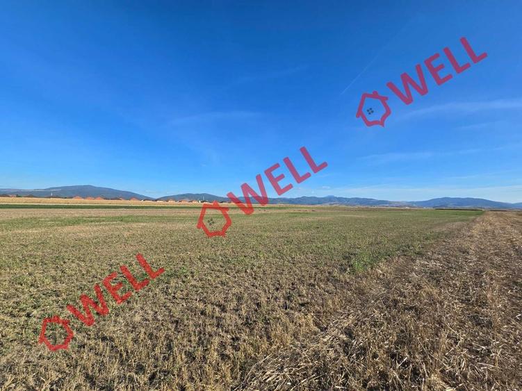 Teren agricol extravilan de 10000 mp, în Prejmer