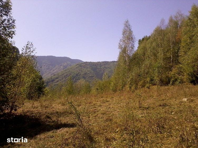 Teren de 5700 mp, în Râu de Mori