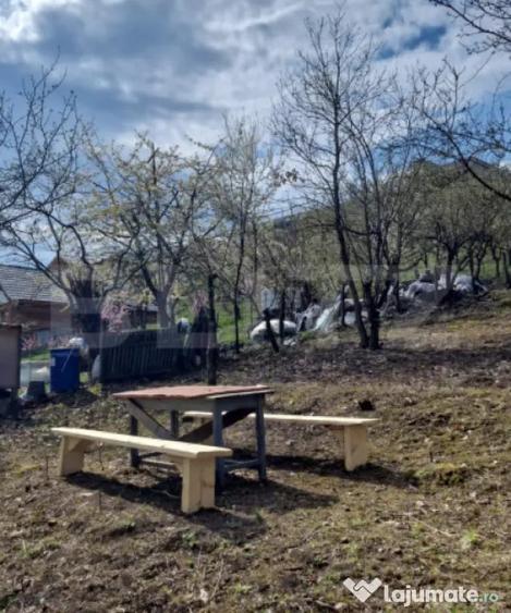 Teren de 2500 mp, în Viișoara
