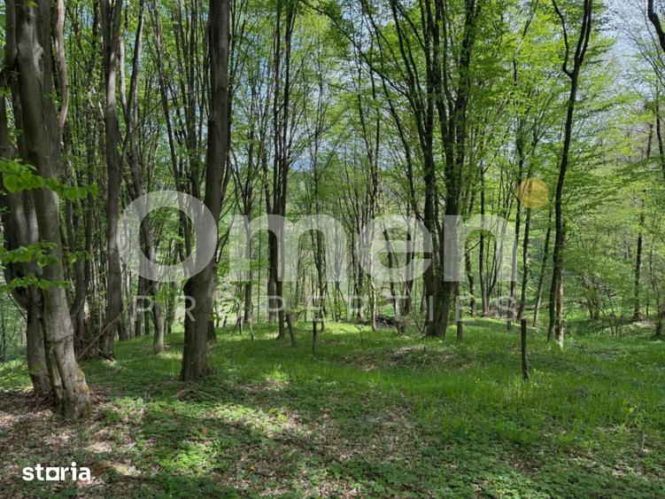 Teren de 842 mp, în Mireșu Mare