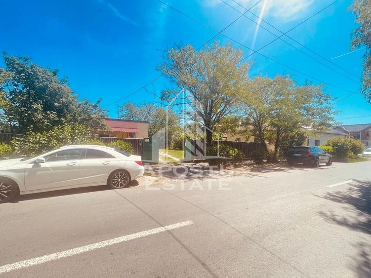 Birou, de 67.050003051758 mp, în Alfa