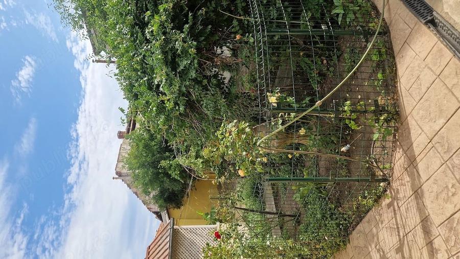 Casă cu Teren 300 Mp în Central