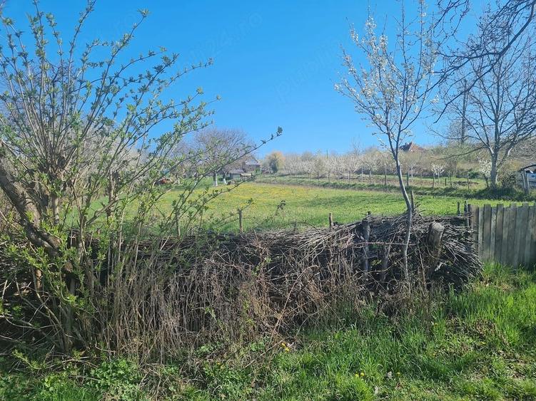 Teren de 16 mp, în Recea
