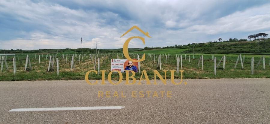 Teren agricol intravilan de 9000 mp, în Exterior Nord
