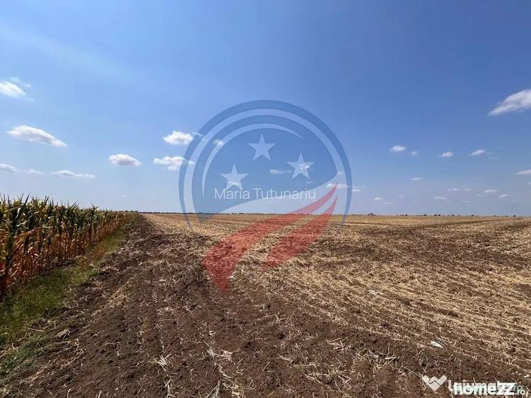 Teren intravilan 5087 mp de vanzare Piele?ti - Pielesti (Dolj)