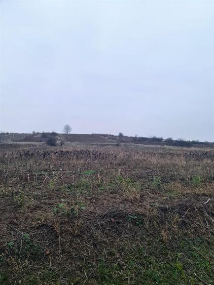 Teren extravilan de 5096 mp, în Episcopia Bihorului