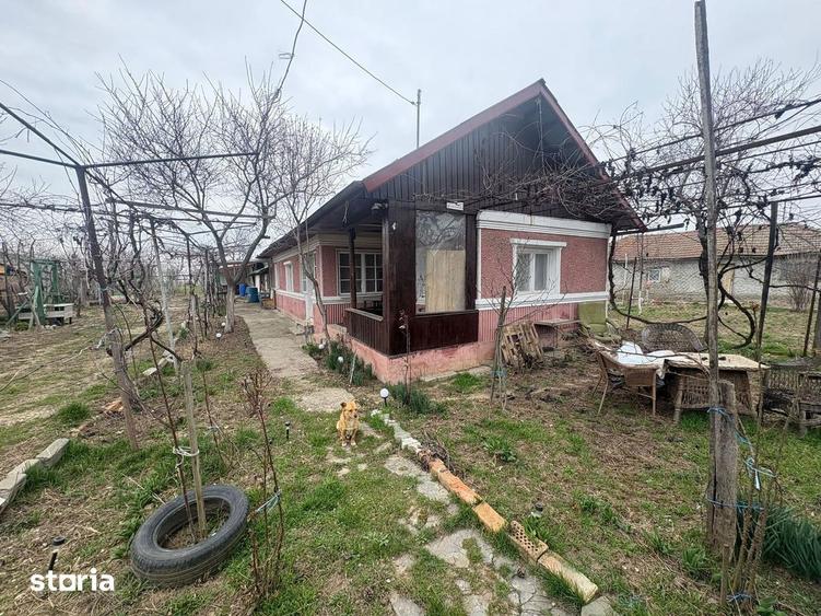Teren 1300 mp + Casa din caramida | Merii Petchii, Ilfov - 7