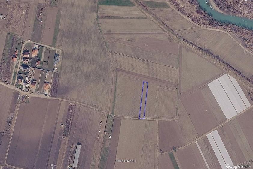 Teren de 1000 mp, în Viișoara