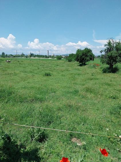 Teren de 3700 mp, în Central