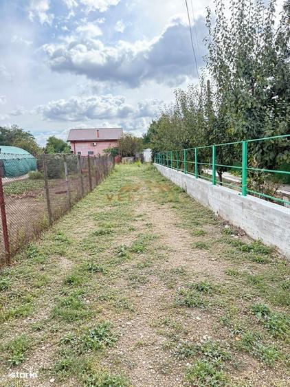 Teren Rar De 1.003 Mp O Oaza De Verdeata In Mijlocul Comunei Berceni - 5