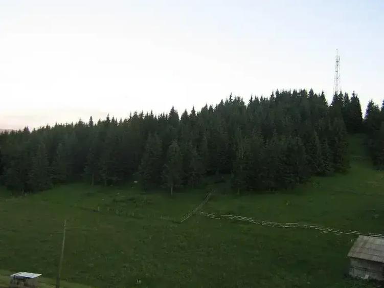 Teren intravilan de 4238 mp, în Fundățica