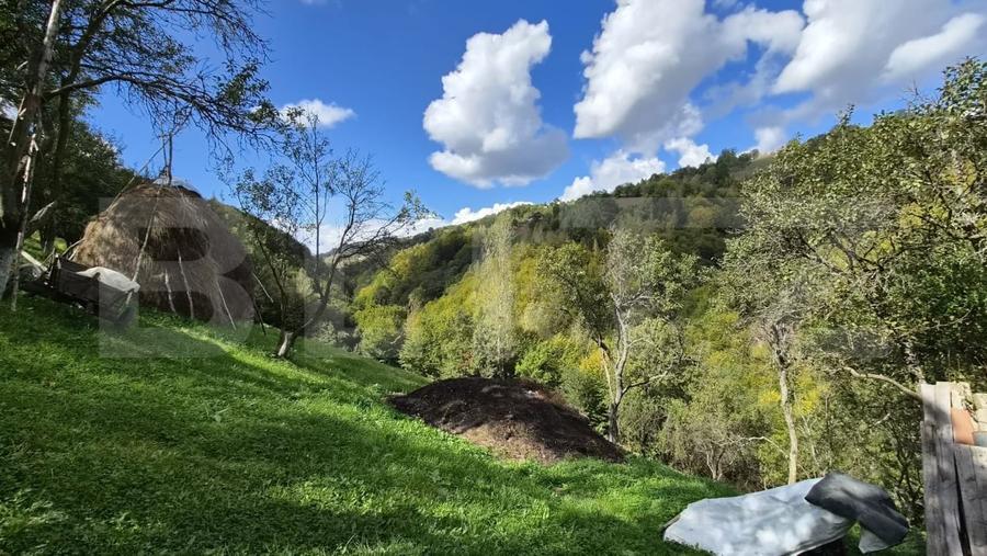Casă individuală cu 3 camere cu Teren 23000 Mp în Poiana Mărului