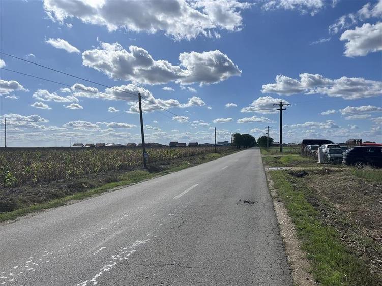 Teren Construcții intravilan de 558 mp, în Livada de Bihor