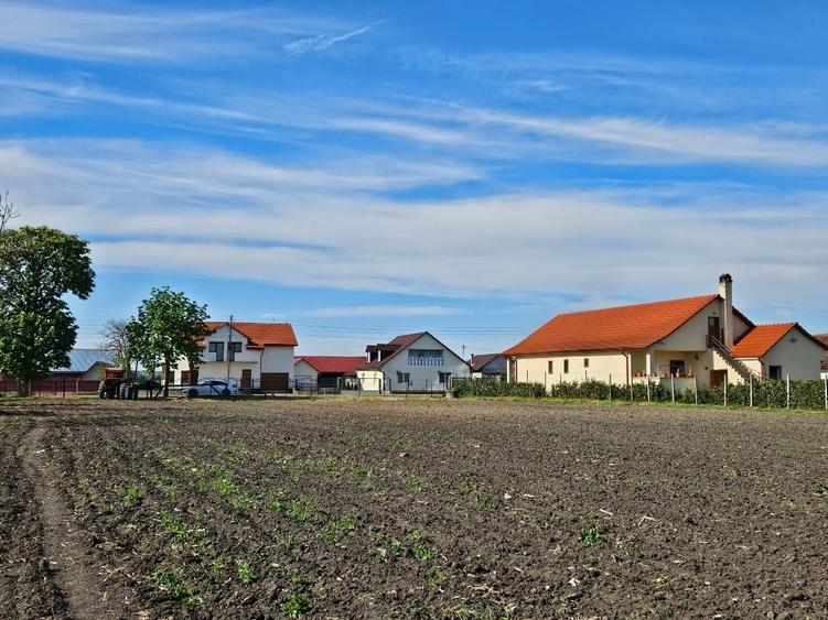 Teren Construcții intravilan de 9378 mp, în Santău