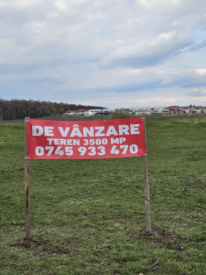 Spațiu comercial, în Chitila