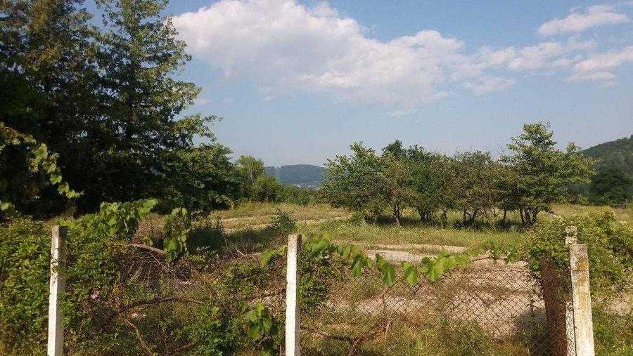 Loturi teren de vanzare Alexandru cel Bun,Neamt - 4