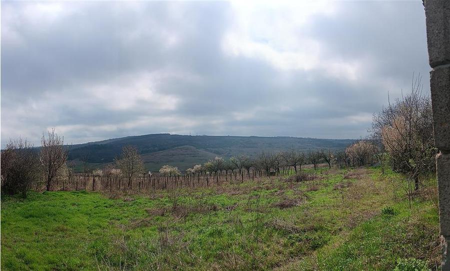Teren Construcții intravilan de 46000 mp, în Dorobanț