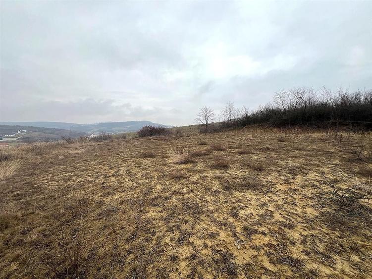 Teren agricol extravilan de 905 mp, în Sigmir