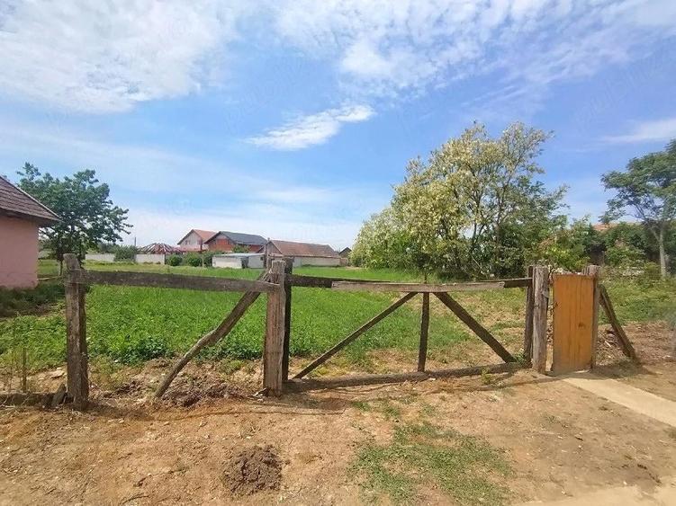 Teren de 1200 mp, în Sânnicolau Român