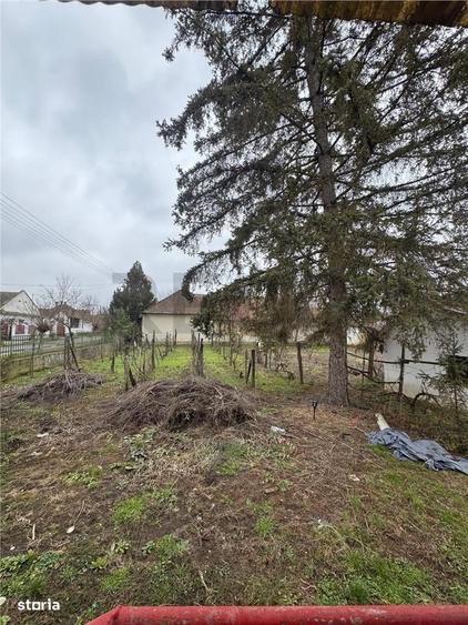 Casă cu 3 camere cu Teren 1900 Mp în Borș