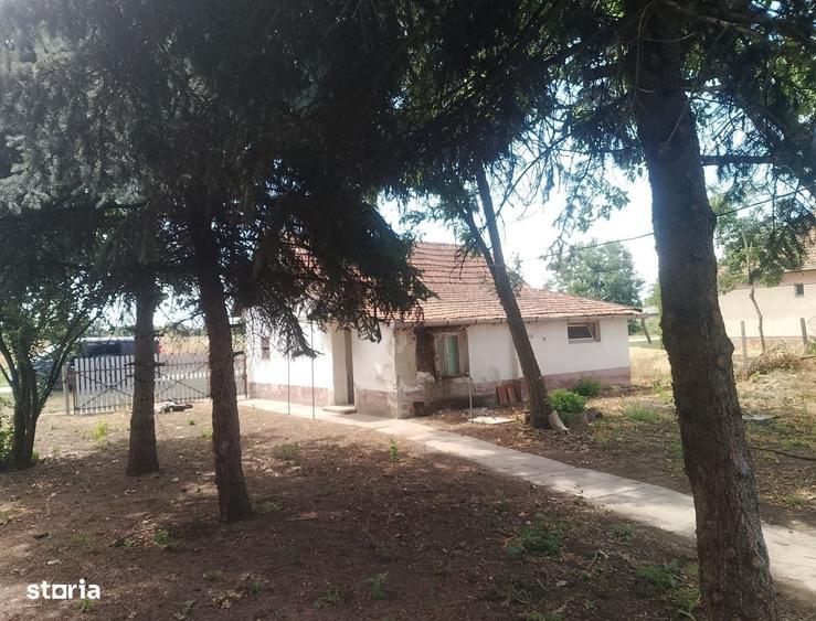 Casă cu 3 camere cu Teren 3500 Mp în Central