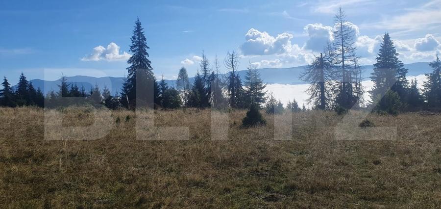Teren Construcții extravilan de 50000 mp, în Vatra Dornei