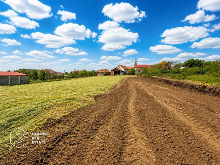 Teren agricol intravilan de 1402 mp, în Șiria
