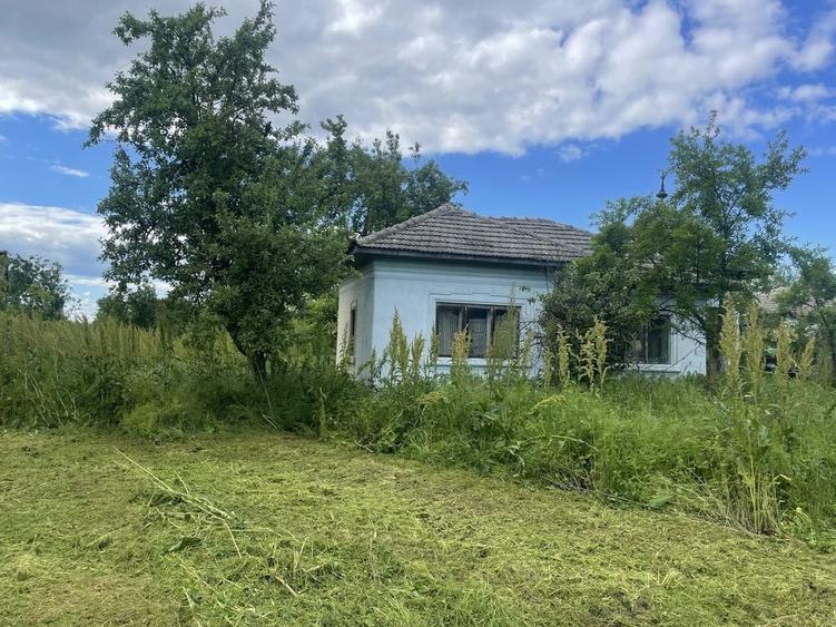 Casă cu 2 camere în Dobroteasa