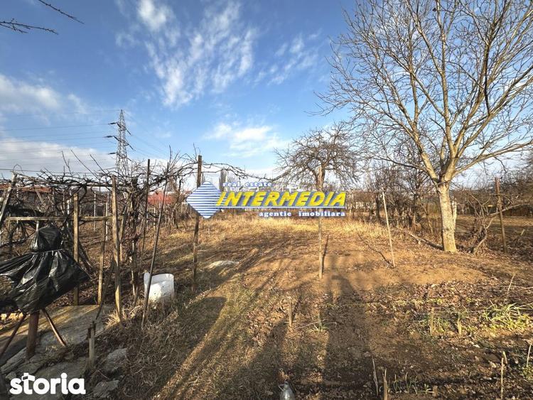 Casă cu 3 camere cu Teren 1242 Mp în Bărăbanț