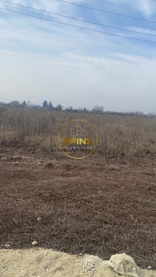 Teren agricol intravilan de 20000 mp, în Ulmi