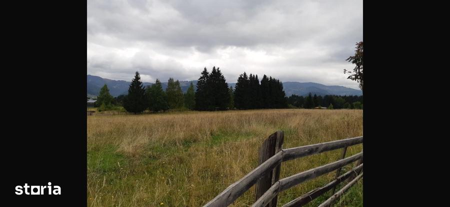 Teren de 6770 mp, în Șaru Dornei