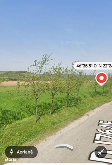 Teren de vanzare, extravilan comuna Lazuri de Beiu?, acces asfaltat - 1