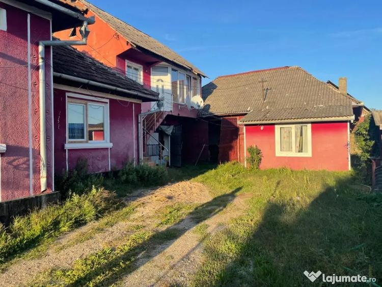 Investitie pentru liniste si oaza de verdeata - 1