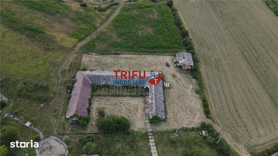 Spațiu comercial, de 1,190 mp, în Alba