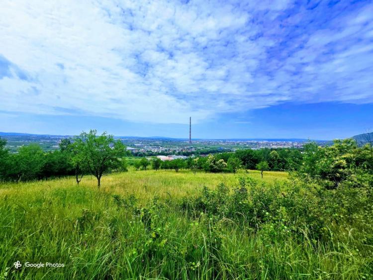 Teren de 15000 mp, în Tăuții de Sus
