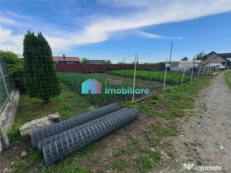 Casă cu 6 camere cu Teren 10000 Mp în Fântâna Mare