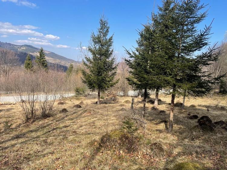 Casă individuală cu 7 camere cu Canalizare în Rogojel