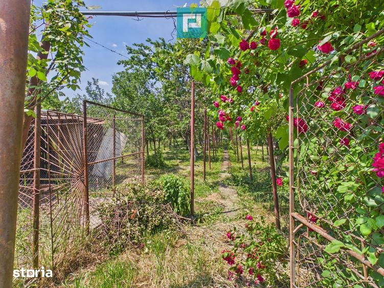 Casă cu 3 camere cu Teren 846 Mp în Pârneava