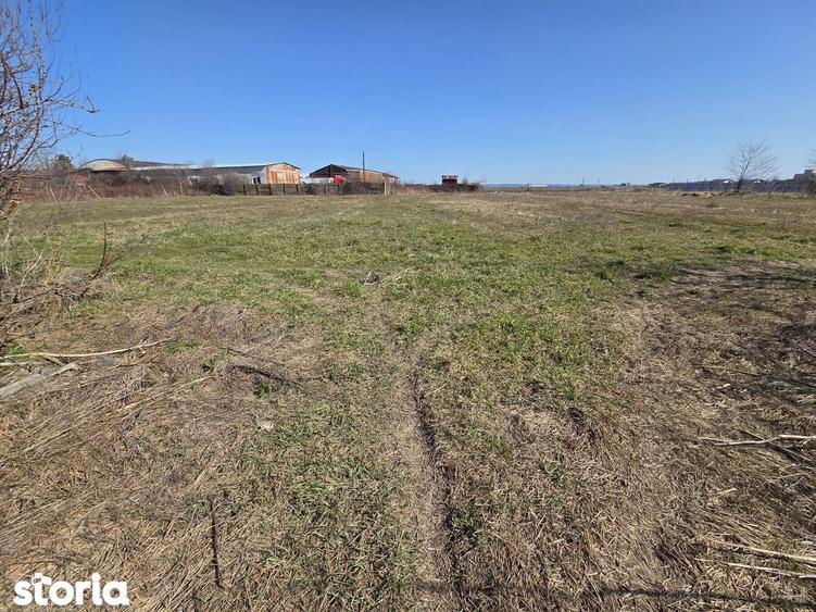 Teren de 2913 mp, în Bradu