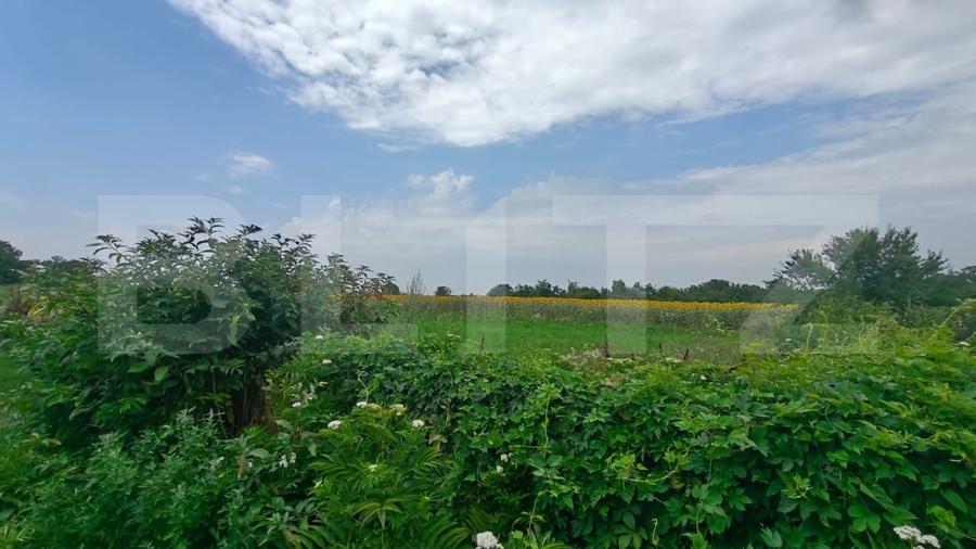 Teren Construcții intravilan de 5054.0297851562 mp, în Cornești