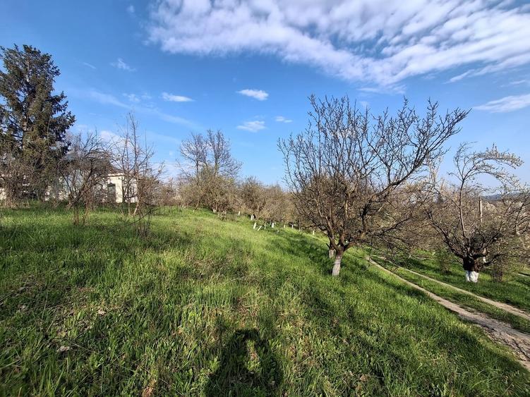Casă cu 5 camere cu Teren 5950 Mp în Nord