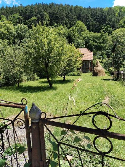 Casă cu 4 camere în Posada