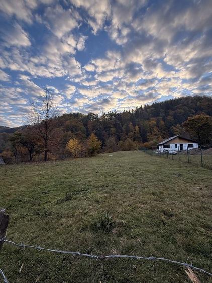 Teren de 3500 mp, în Cuejdiu