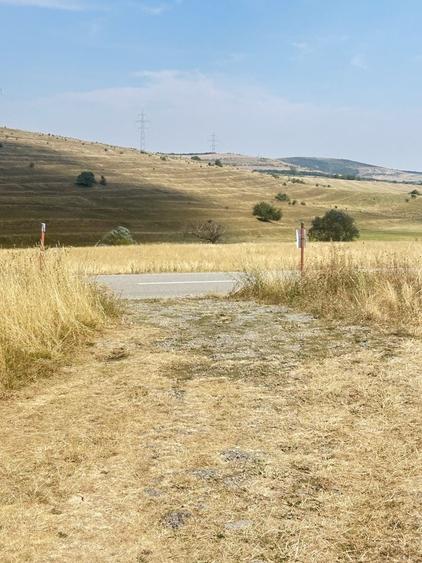 Inchiriez Teren 5.000 mp pentru depozitare / utilaje / curte operationala Ciurila, Cluj - 1