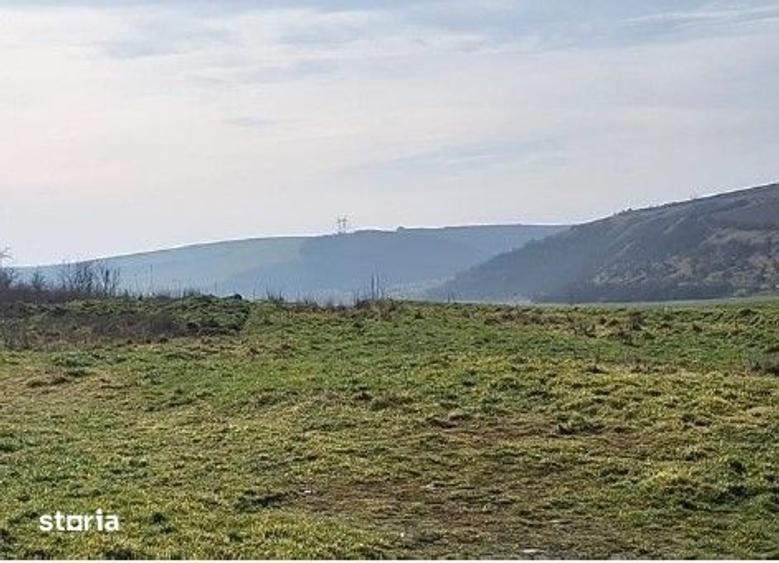 Teren de 18800 mp, în Deleni