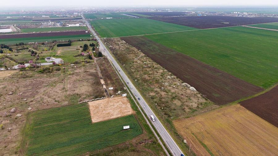 Teren agricol extravilan de 41800 mp, în Vladimirescu