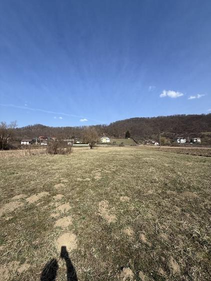 Teren de 6000 mp, în Bizușa-Băi